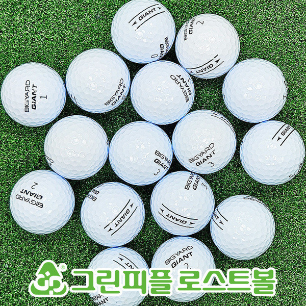 그린피플,빅야드 고반발 GIANT 3피스 A+급 로스트볼 16개